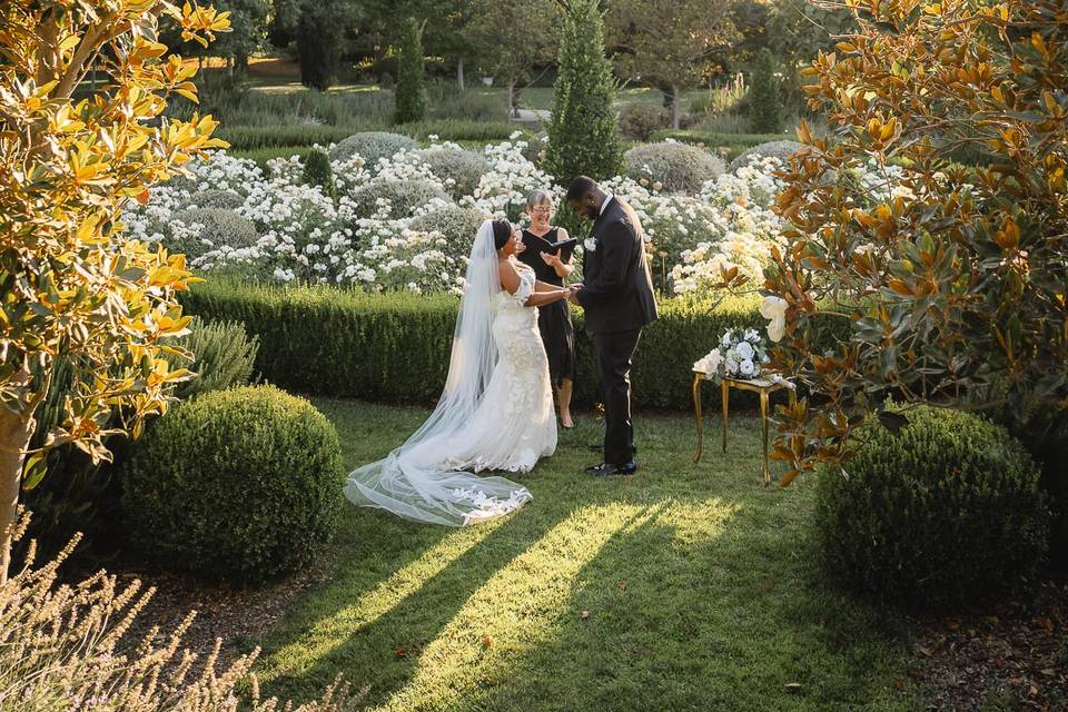 Elopement in the Bowl Garden