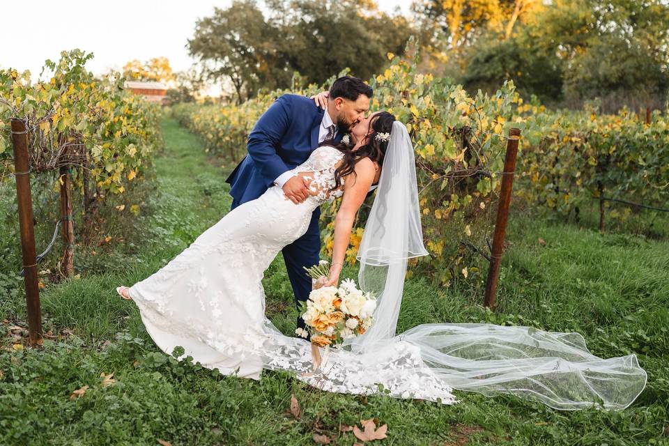A dip in between the vines