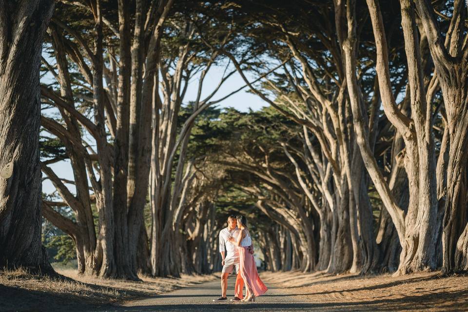 Cypress Tunnel Cuddling