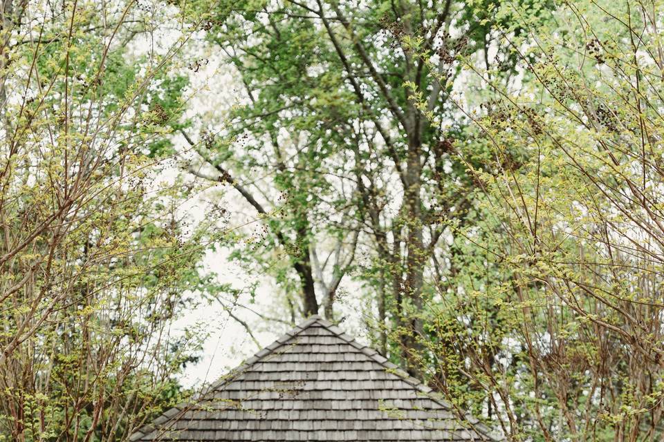 On-Location: Georgia