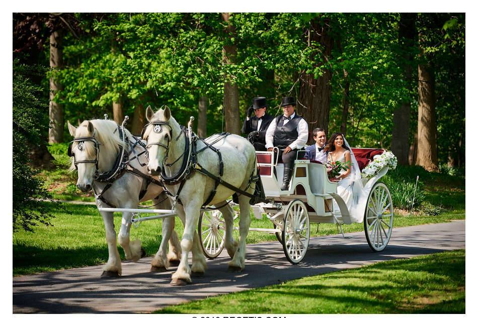 Carriage Ride