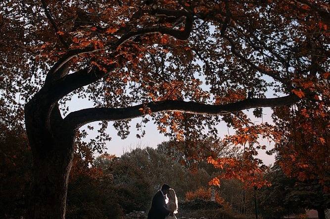 Frank Kotsos Photography