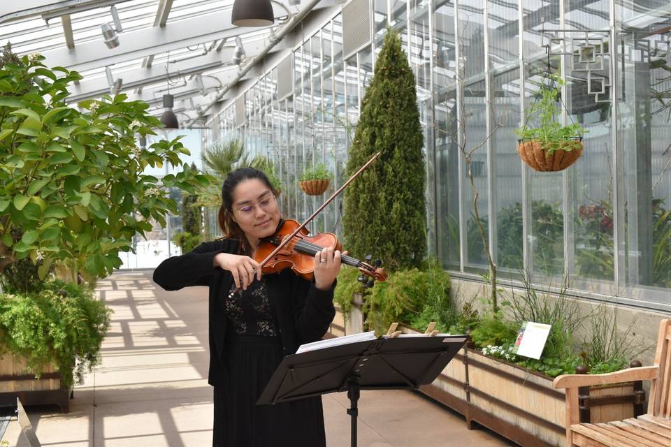 Wedding at Botanic Garden