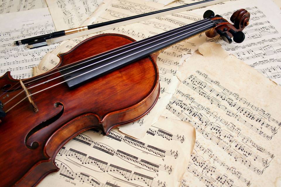 The violin