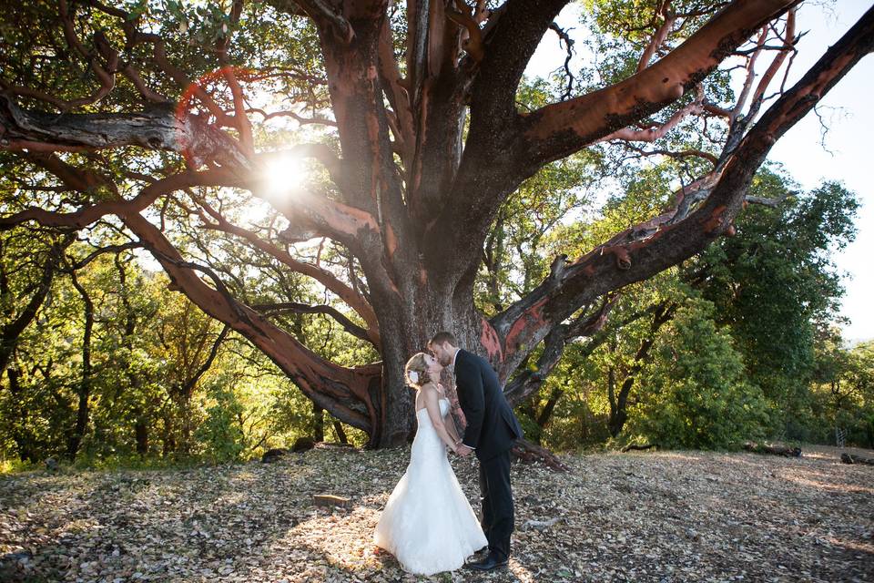 Jen Dederich Photography