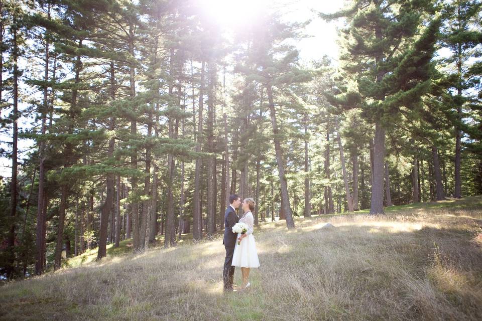 Jen Dederich Photography