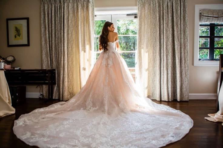 Bridal Dress Photo