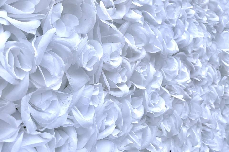 White Flower Wall