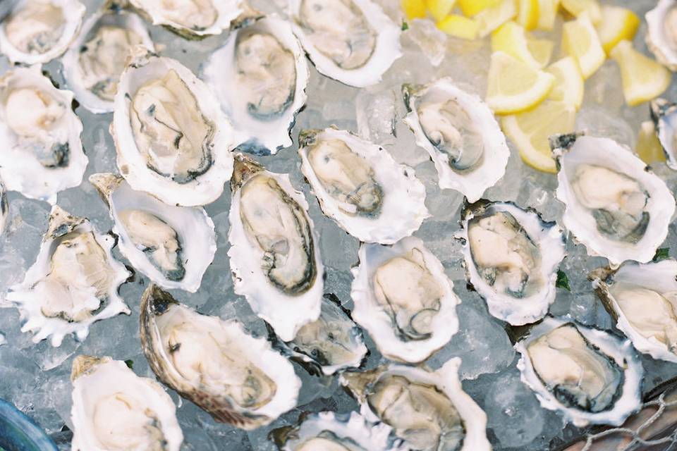 Oyster Bar