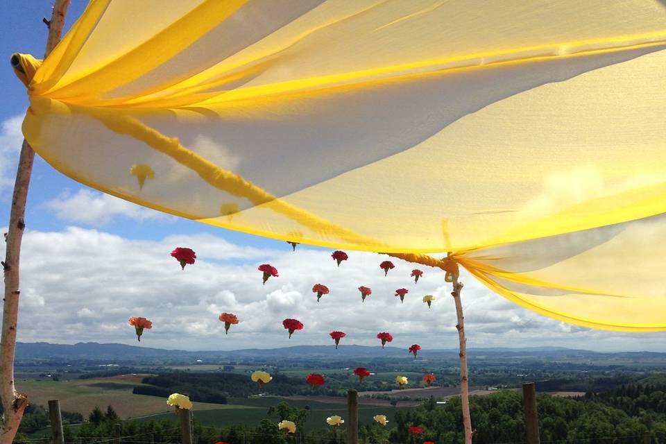 Wedding canopy