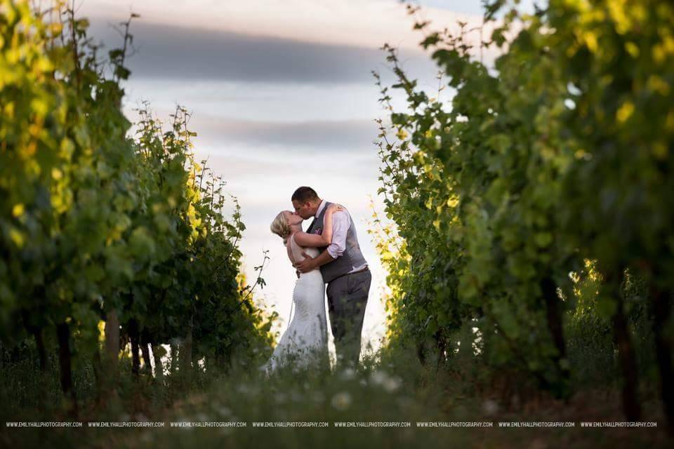 J Wrigley Vineyards