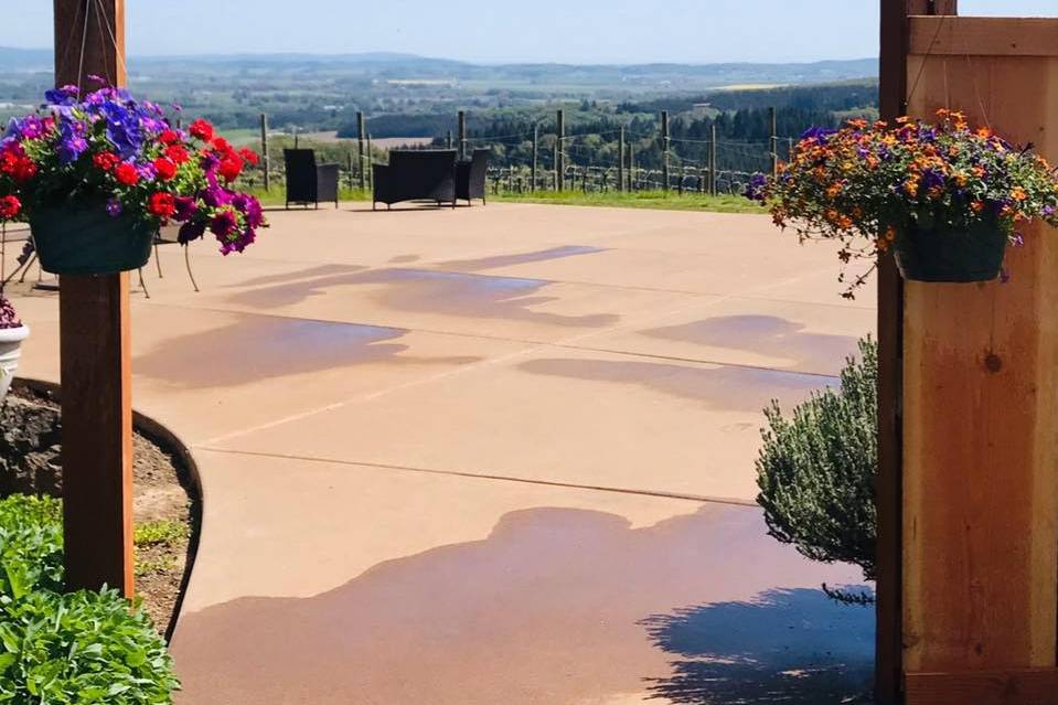 J Wrigley Vineyards