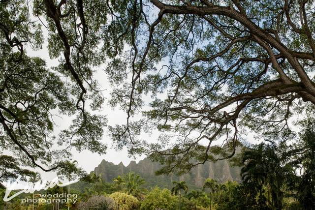 Kaua Wedding Photography