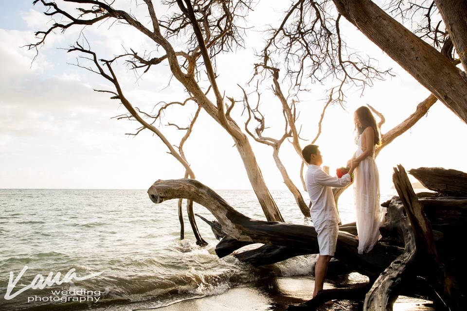 Kaua Wedding PhotographyKaua Wedding Photography