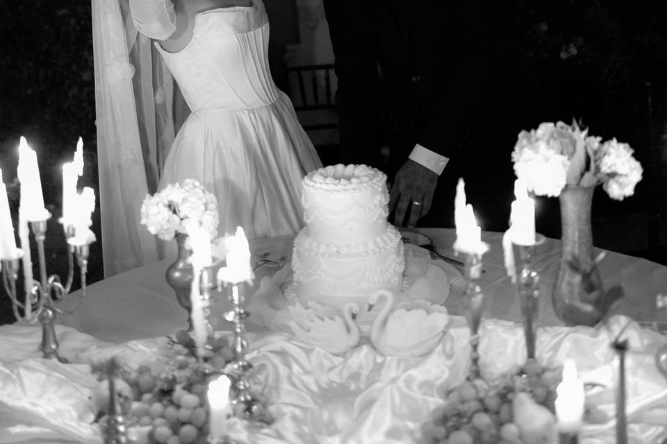 Couples wedding portraits