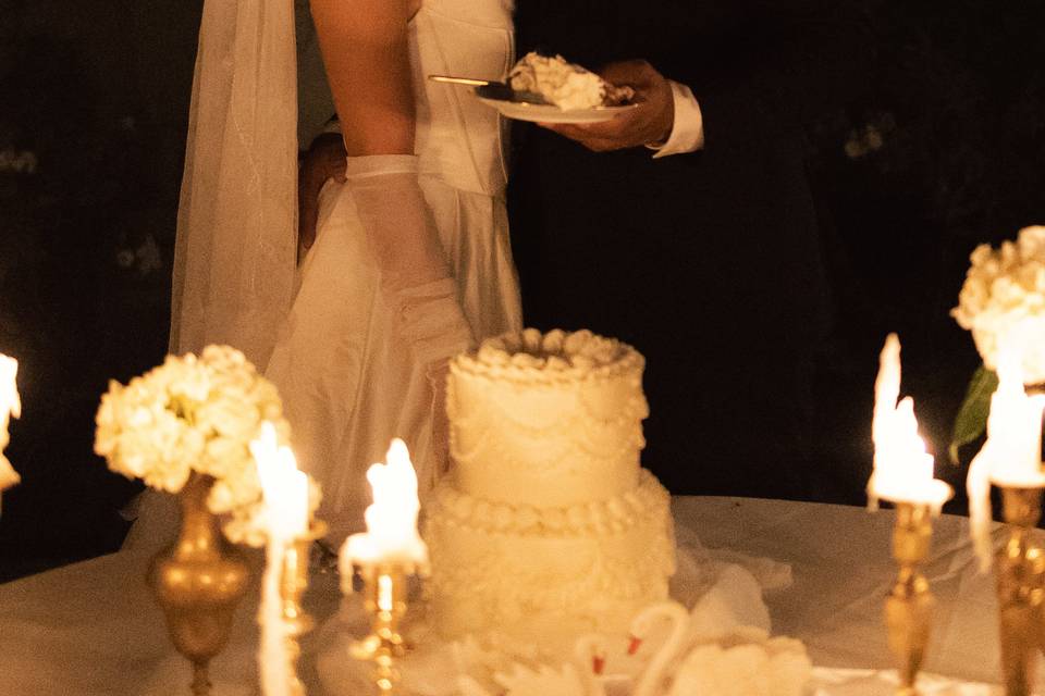 Couples wedding portr