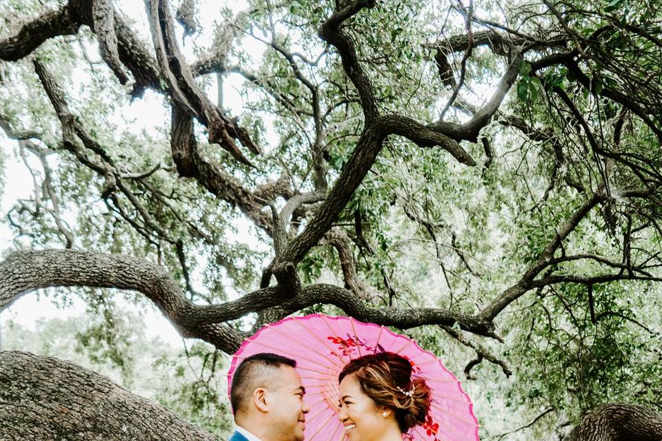 Bride and Groom Portraits