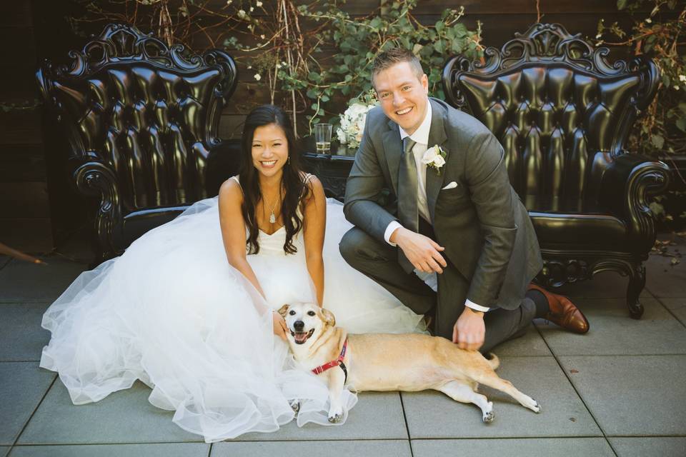 Bride + Groom + Dog