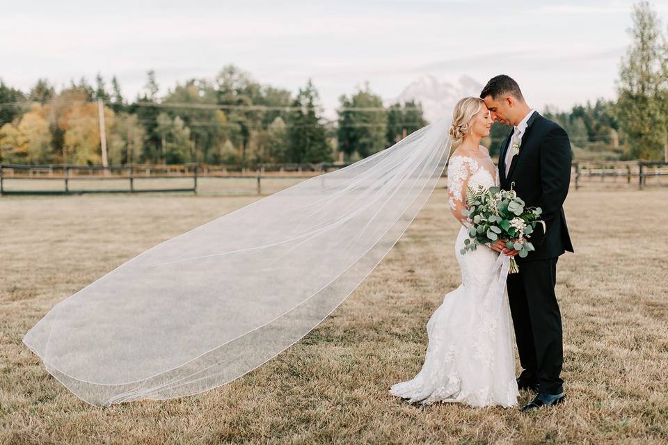 Mt Rainier Wedding