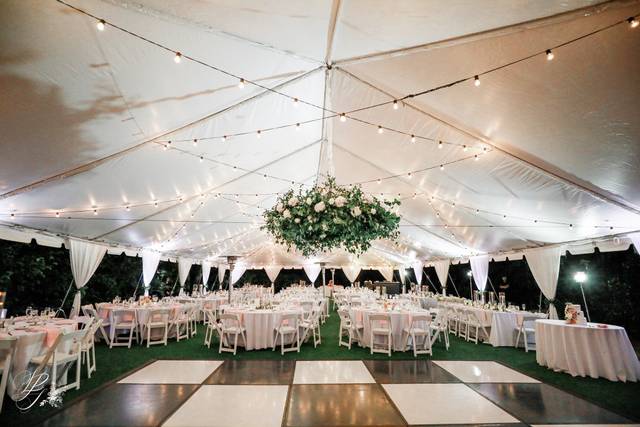 White Top Tent-Lifelong Studio