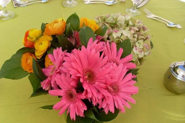 Table setup with centerpiece