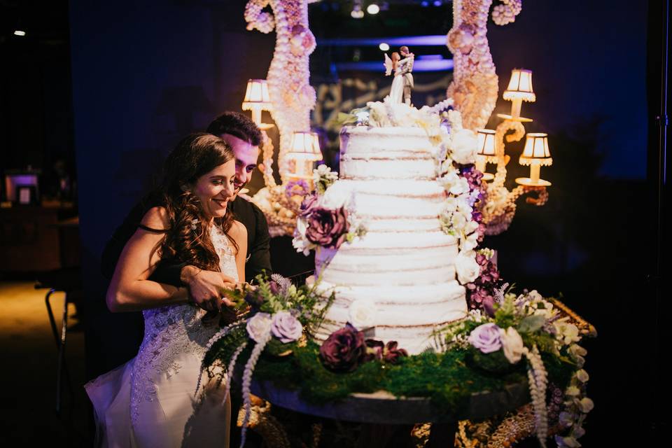 Fairytale Cake Cutting