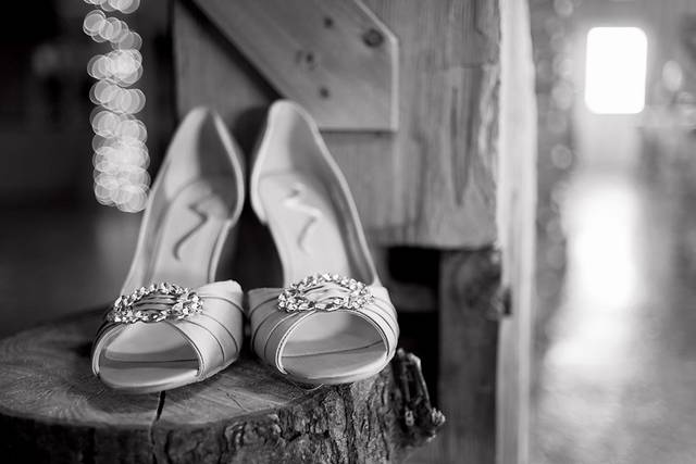 Amy Lyn Photography