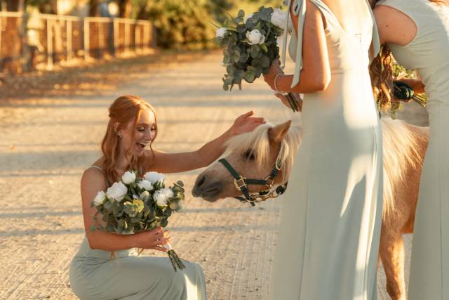 Wedding couple