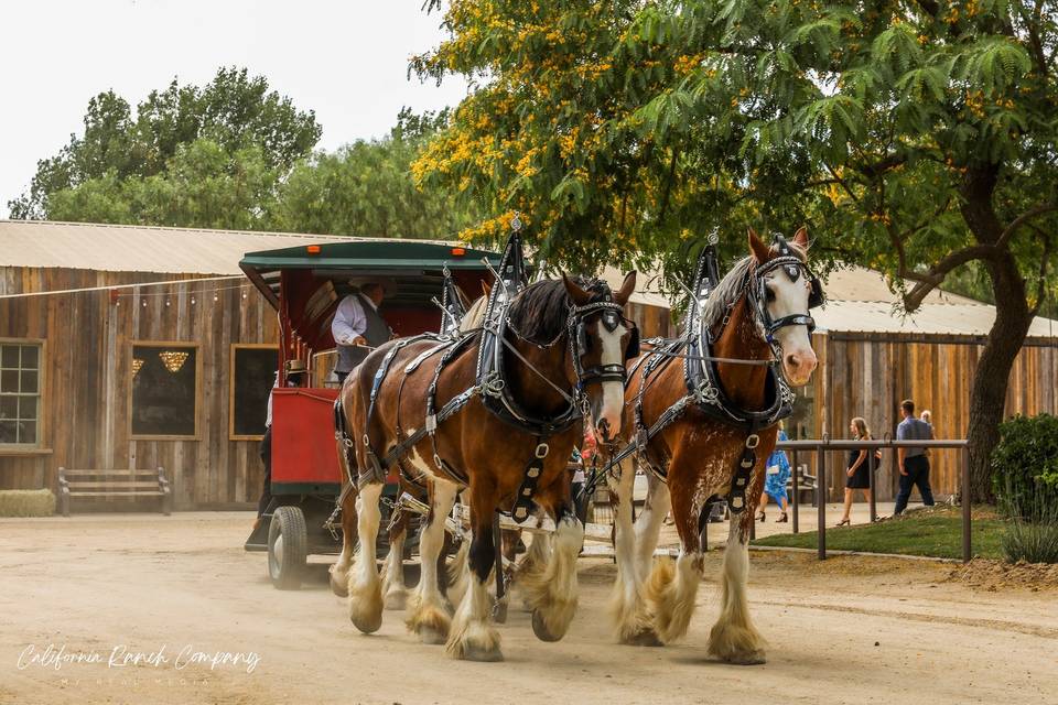 CRC ranch weddings