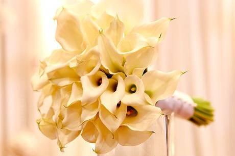 Blooming Gallery/Wedding Flowers By Lisa