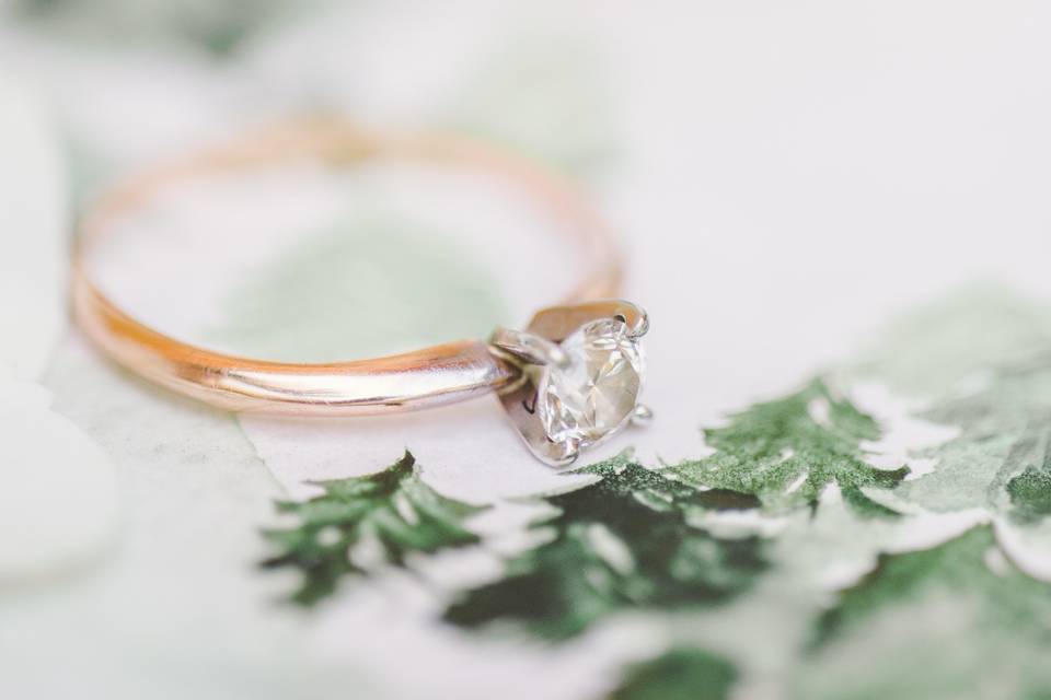 Elopement in narnia