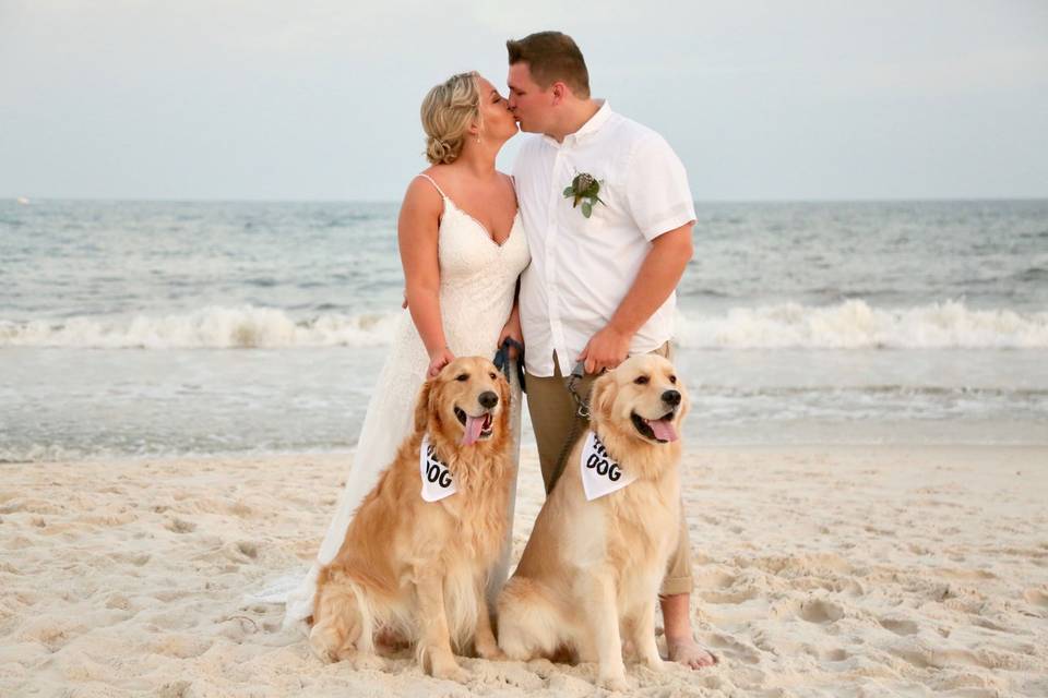 Beach Weddings