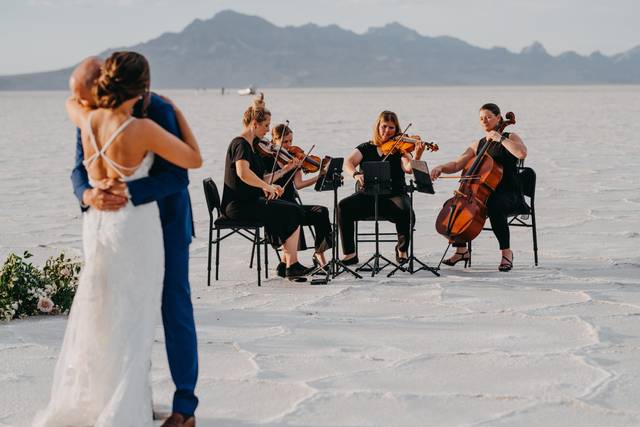 Black & White String Quartet