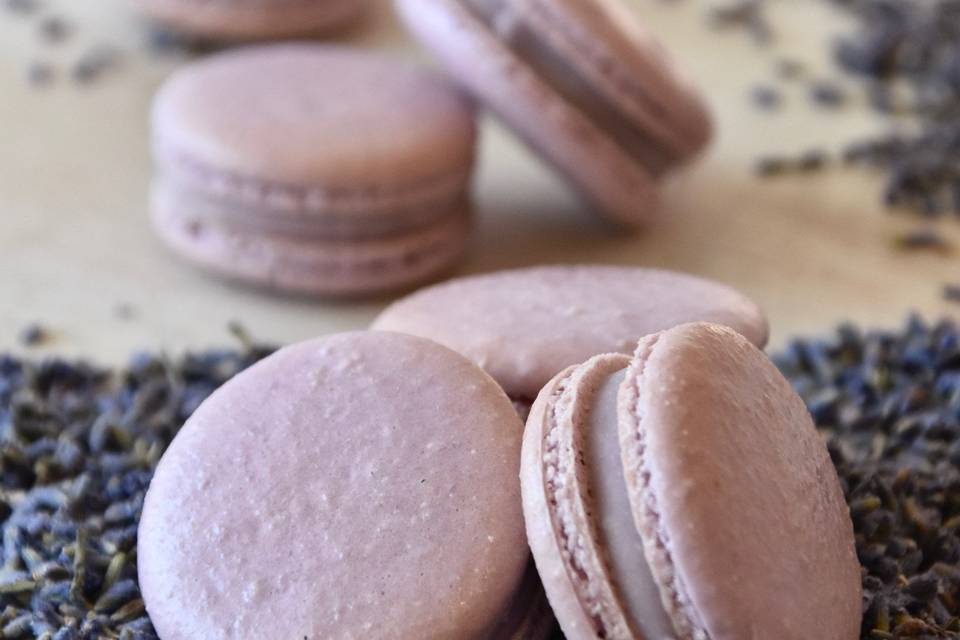 Lavender Macaron