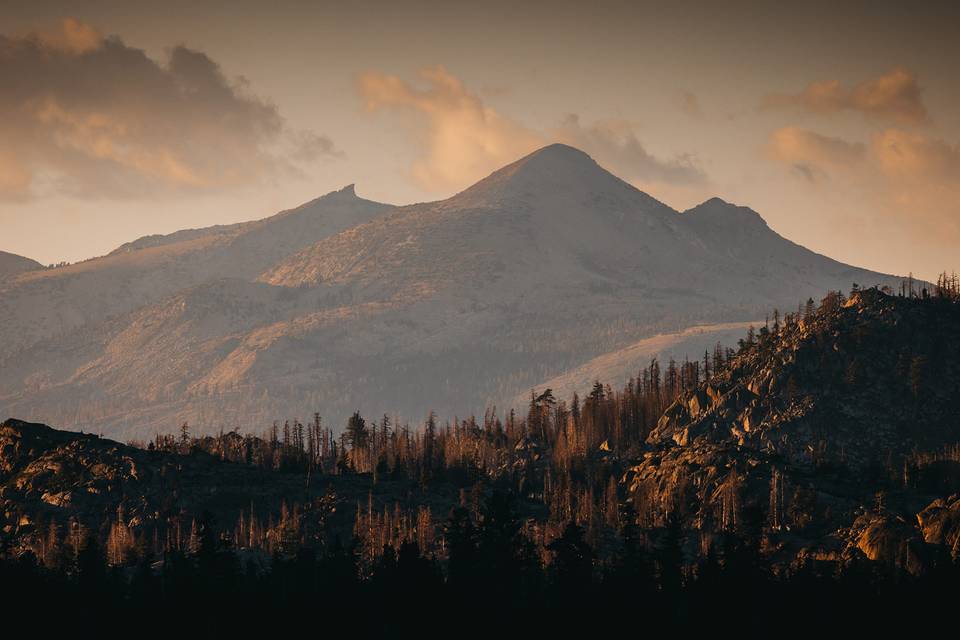 VILD Photography