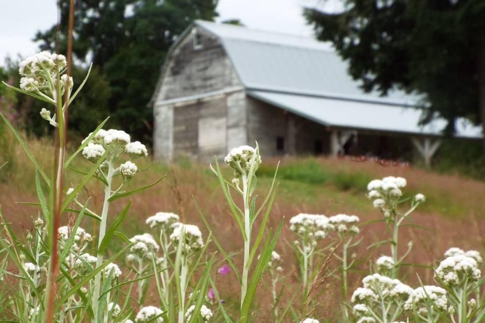 Goebel Hill Farm