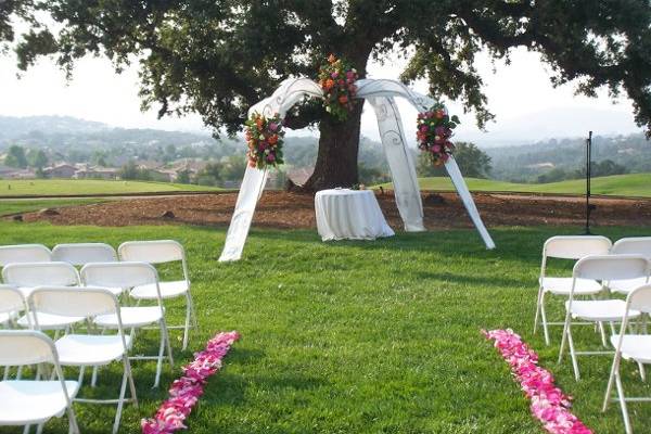 What a stunning reception....unusual colors and the element of surprise....the votives were real green apples with holes carved out to hold the tea lights.