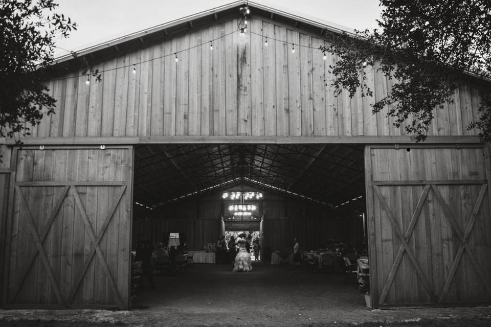 The Venue at Mudge Ranch