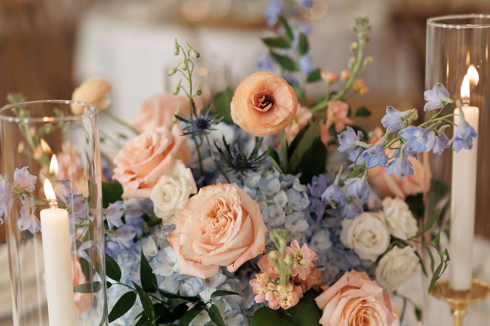 Peach and light blue