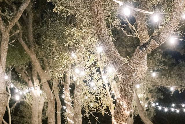 Photo: alyssajaraephotography