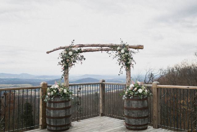 Lydia Mountain Lodge & Log Cabins