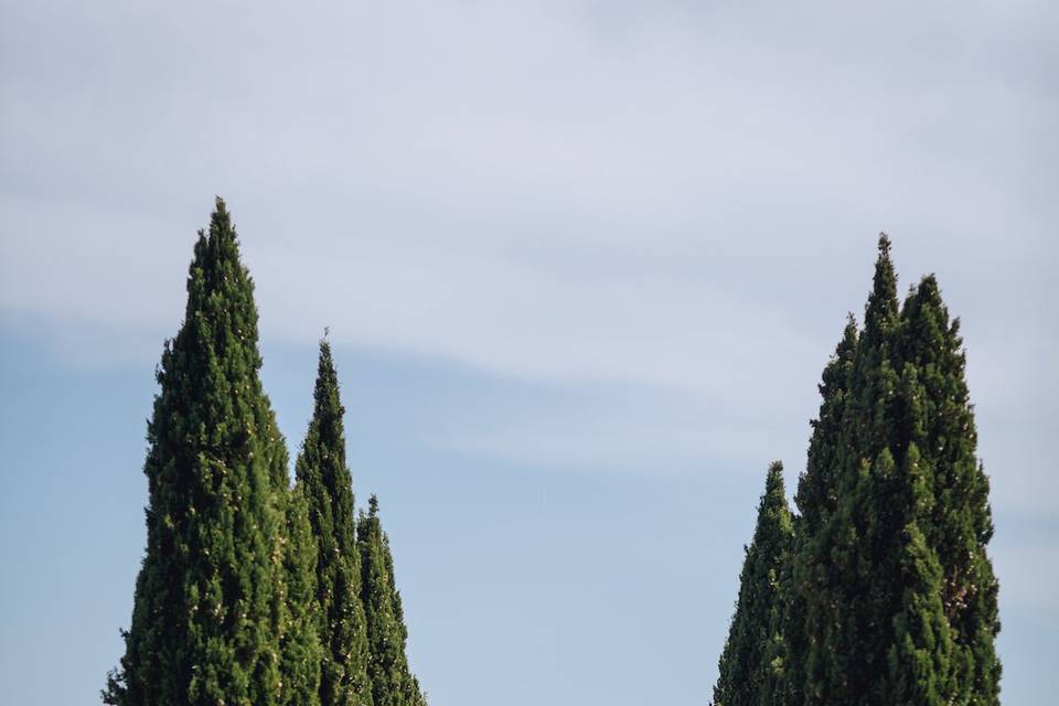 Wedding in tuscany