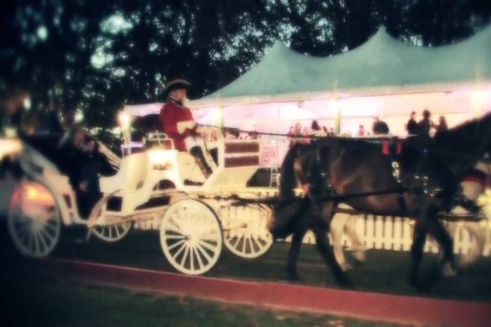 Carriage in front of Pavilion