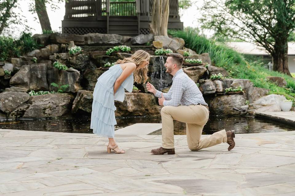 Mandy Chadwick Photography