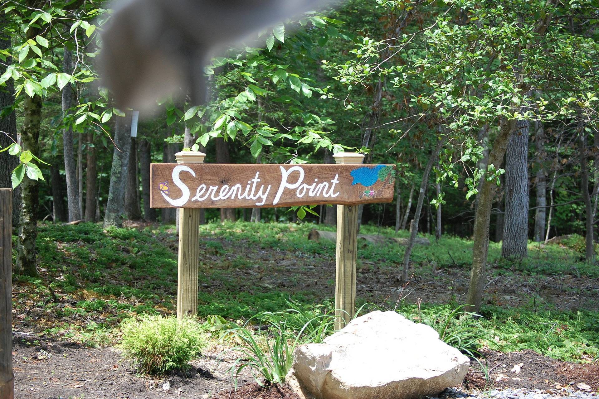 Escape to Serenity: Maine Florida Lake Campground - Your Gateway to Florida's Natural Beauty