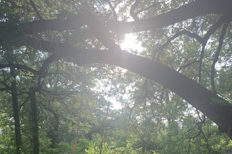 sun shining through dress tumblr