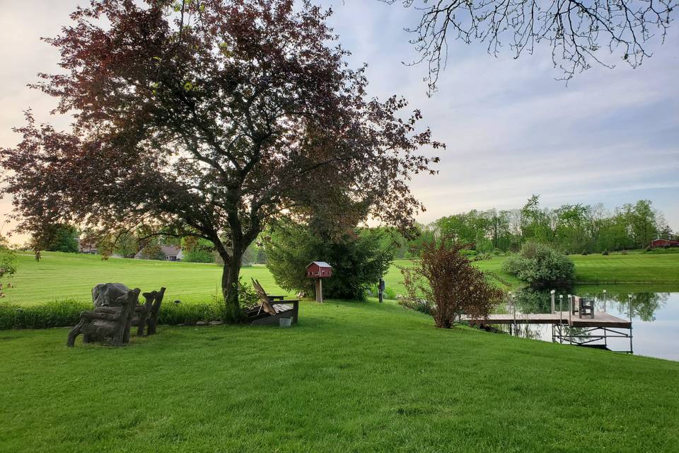 Overlooking the pond