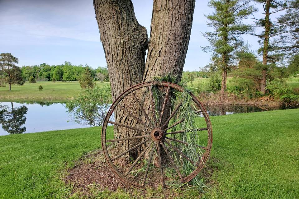 Pond view