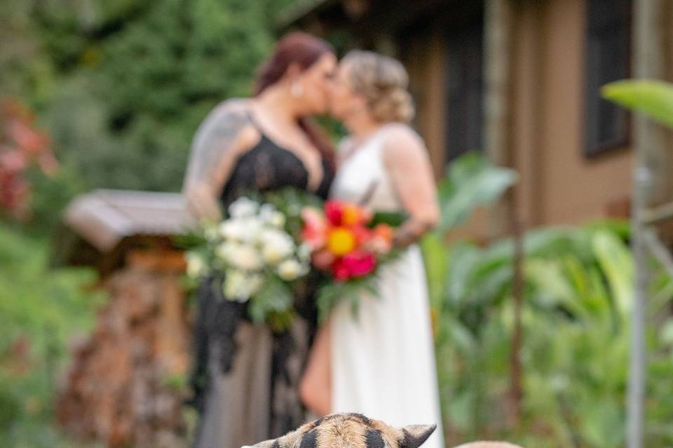 The best wedding guest