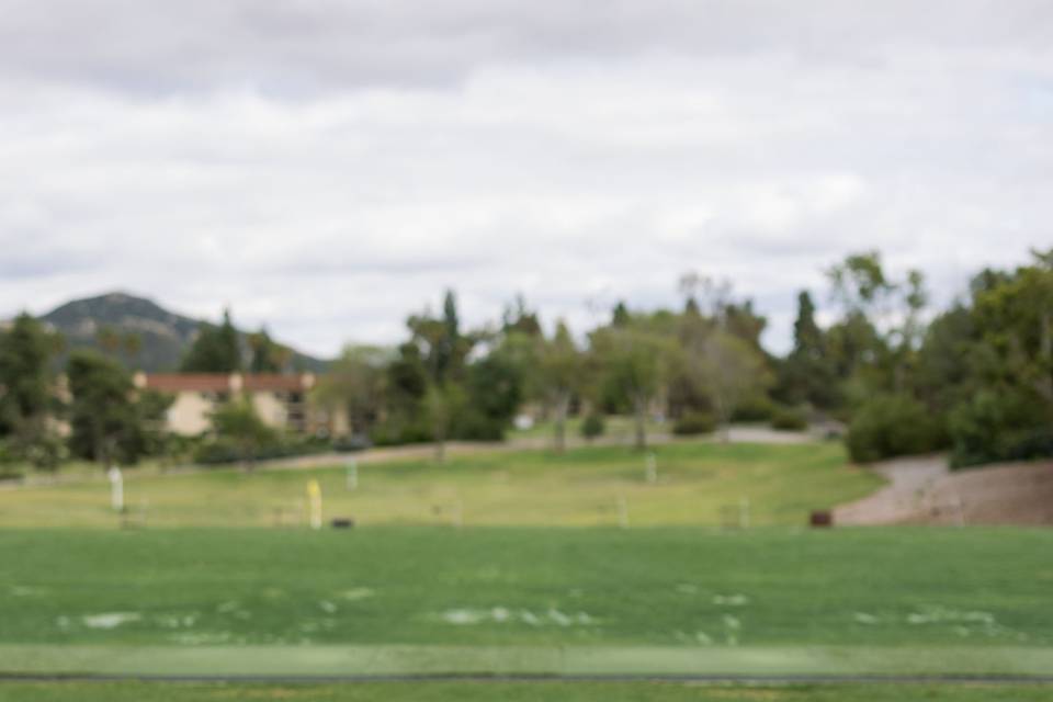 Driving Range Backdrop